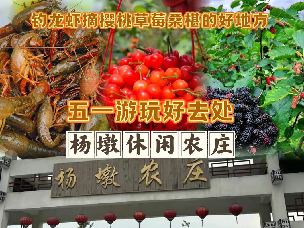 德清特色農家體驗_湖州德清縣農家樂大全_德清排名第一農家樂