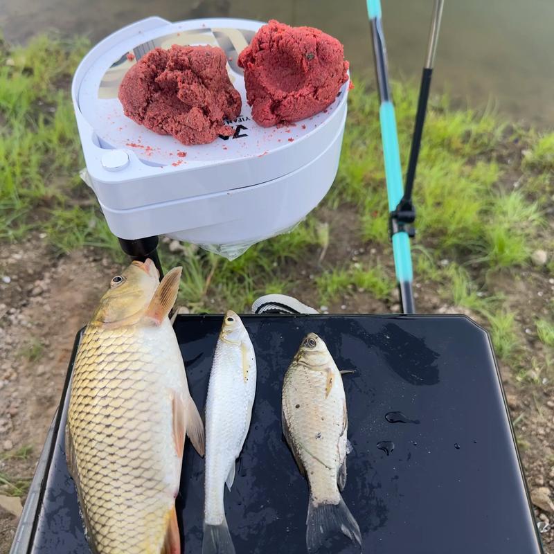 密云水庫 釣魚_周末郊外釣魚活動_密云水庫釣魚體驗