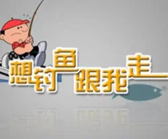 四海釣魚頻道在線觀看_四海釣魚頻道在線_網絡電視四海釣魚頻道