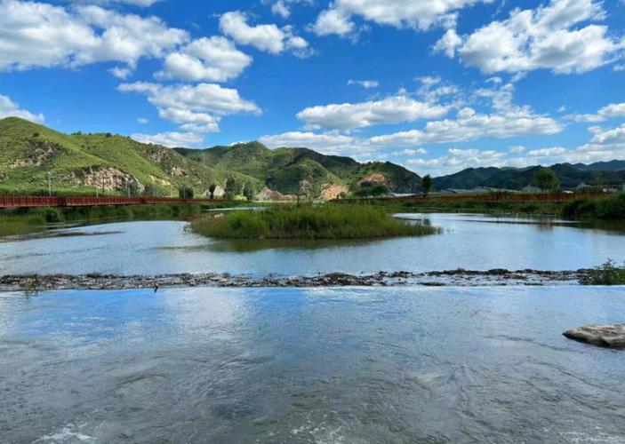 密云水庫生態保護_密云水庫 釣魚_密云水庫鳥類監測