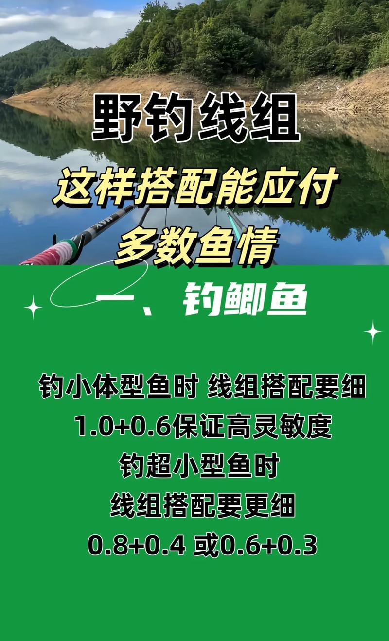 野釣鯪魚_釣鯪魚手感好 耐力強 釣鯪魚線組搭配技巧