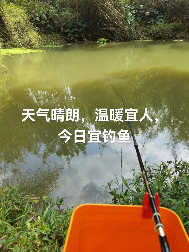 什么天氣最適合釣魚_小雨天釣魚技巧_春天釣魚最佳天氣