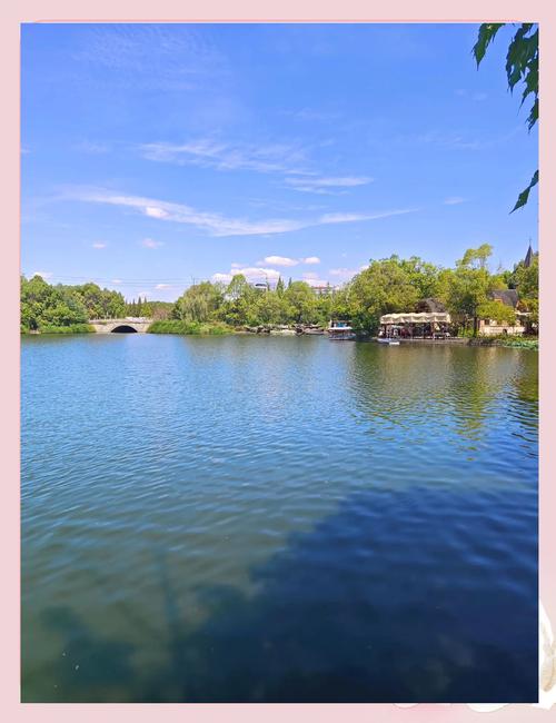 華陽南湖公園_成都南湖生態公園春花開放_華陽府河兩岸休閑漫步