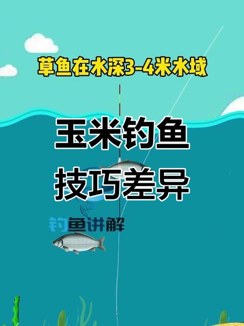 玉米垂釣技巧_水庫用玉米釣魚技巧_玉米餌料打窩方法