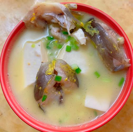 紅燒黃蜂魚做法_黃蜂魚豆腐湯做法_黃蜂魚酸菜湯做法?