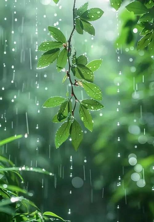 釣魚經驗分享_蚯蚓野釣怎么調漂視頻_野釣技巧