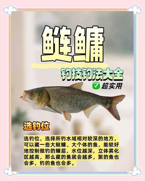 肥水釣大魚_黑坑肥水釣法_野釣水太肥怎么釣魚
