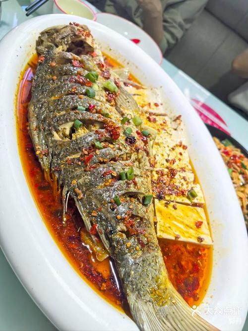 黃河鯉魚怎么做好吃_黃河鯉魚_東阿美食