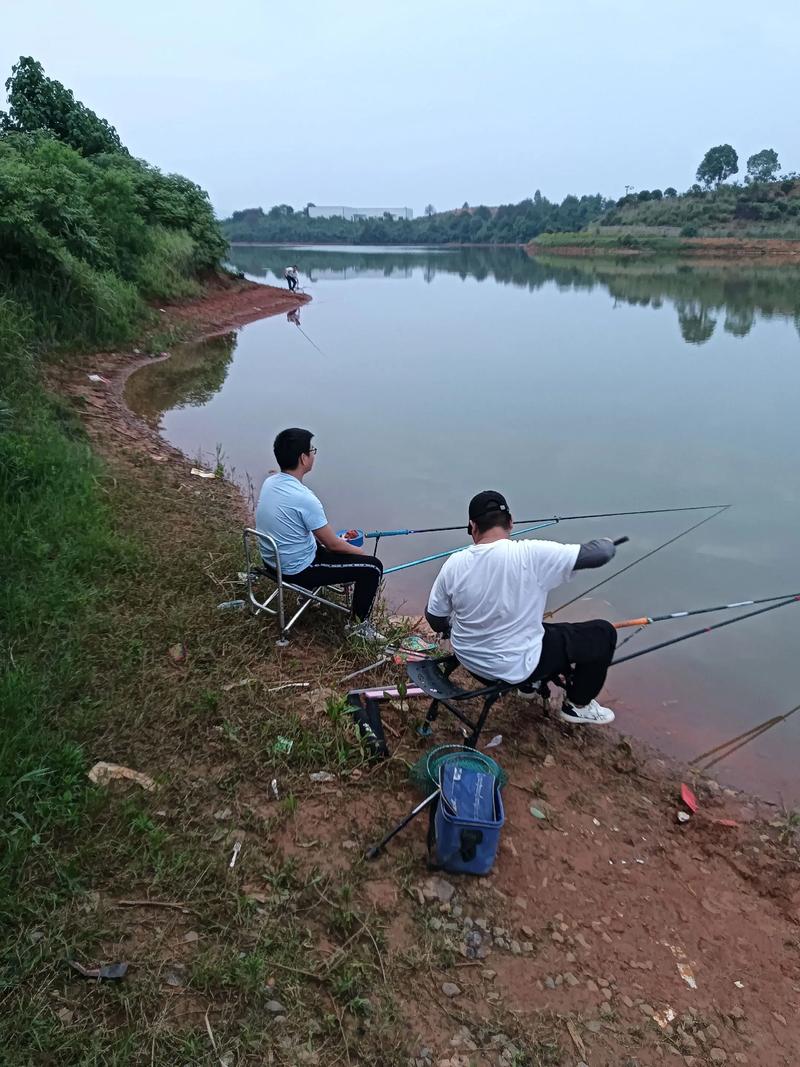 汀溪水庫釣魚要錢嗎_汀溪水庫開閘下游安全_水庫泄洪下游游泳釣魚風險