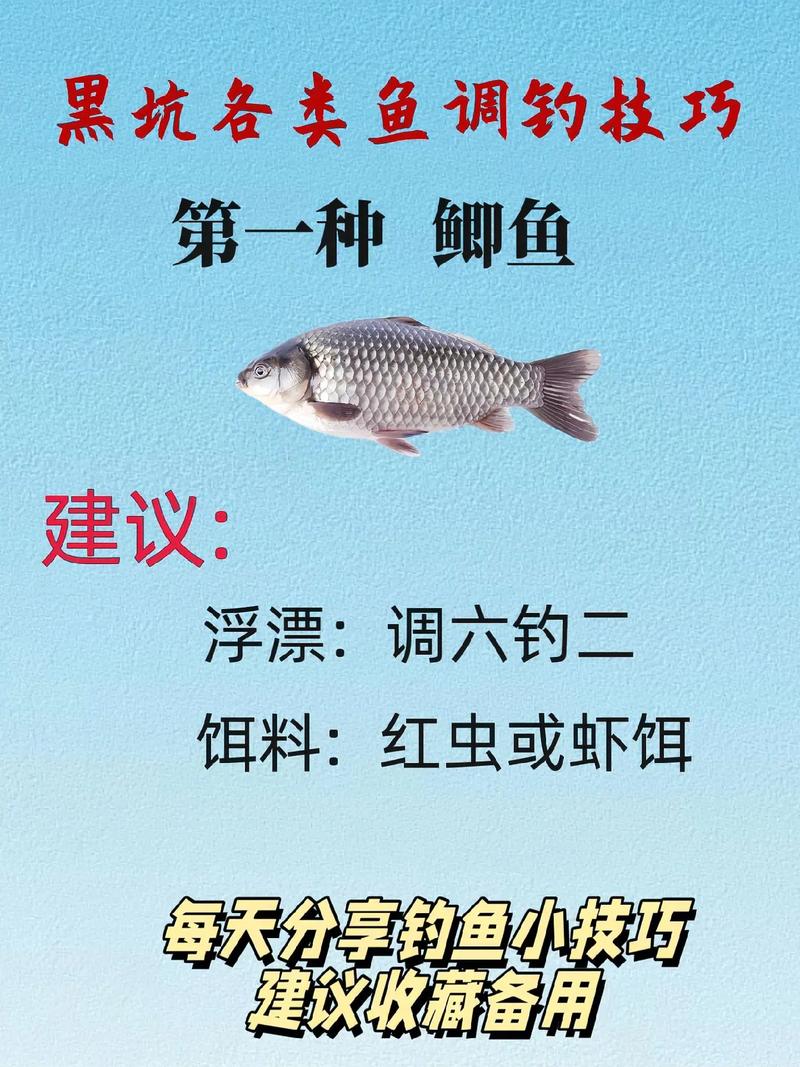 黑坑釣魚技巧_黑坑釣魚釣位技巧_黑坑釣魚注意事項