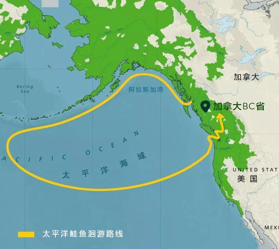 魚道定義_魚道與洄游的區別_洄游_魚類洄游_洄游路線
