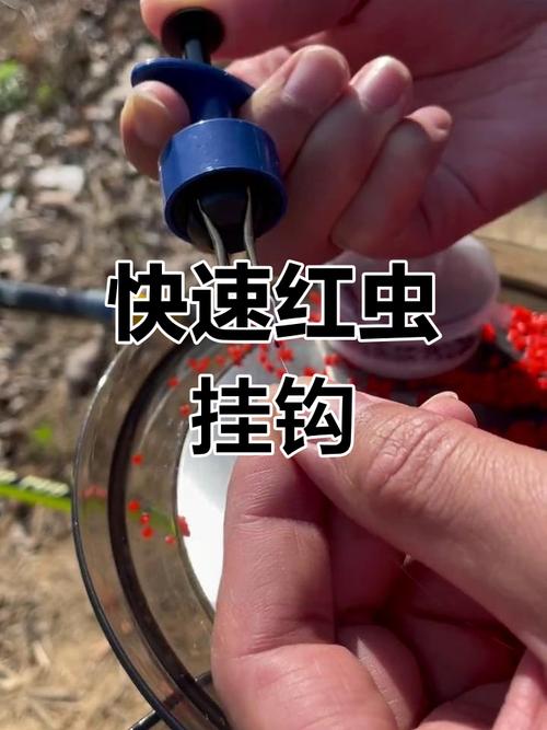 冬季釣魚紅蟲技巧_紅蟲綁團釣大鯽魚_用紅蟲釣魚必須掌握的技巧和知識(三)