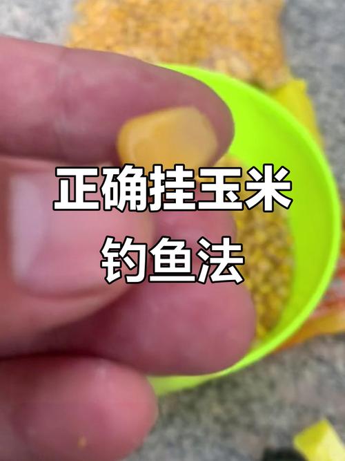 釣鯉魚最佳餌料_釣鯉魚技巧窩料選擇_用玉米粒釣鯉魚用什么鉤型最好?