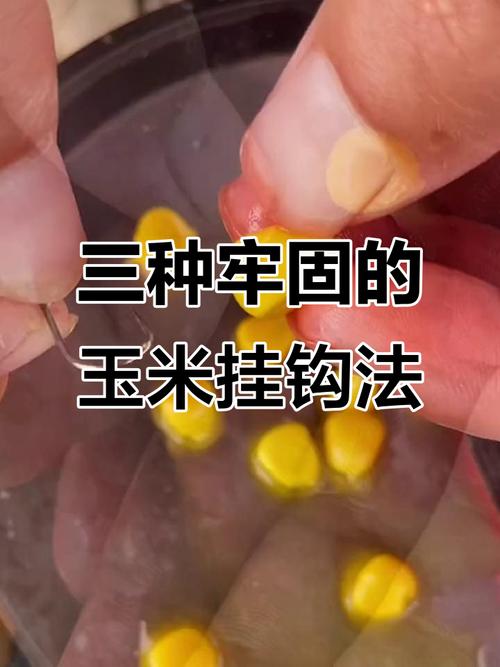 用玉米粒釣鯉魚用什么鉤型最好?_釣鯉魚技巧窩料選擇_釣鯉魚最佳餌料