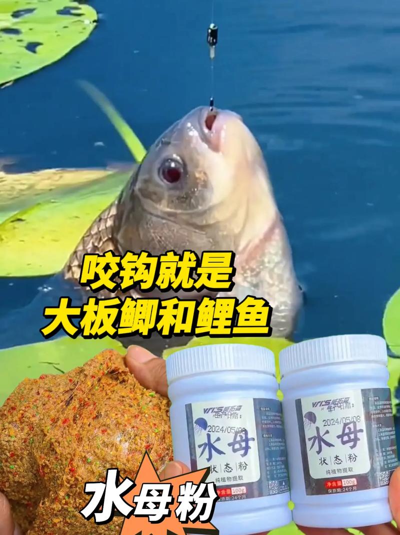 野釣雜魚鬧鉤解決方法_野釣小雜魚多怎么辦_調整餌料狀態應對雜魚