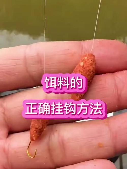 渾水釣魚技巧_渾水釣魚釣位選擇_渾水釣魚用餌(宜動)的技巧詳解