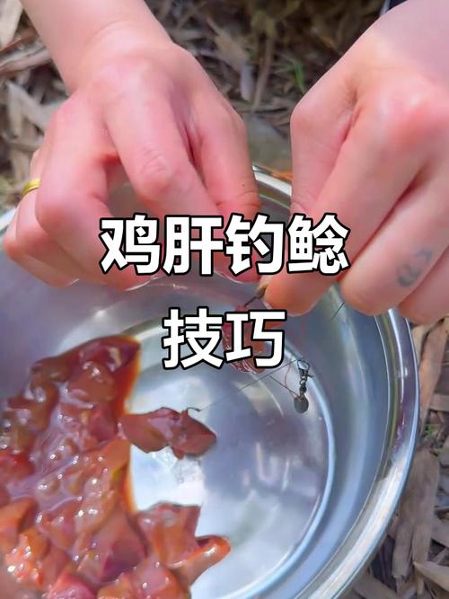 雞肝釣魚_雞肝釣魚技巧_如何用雞肝釣魚