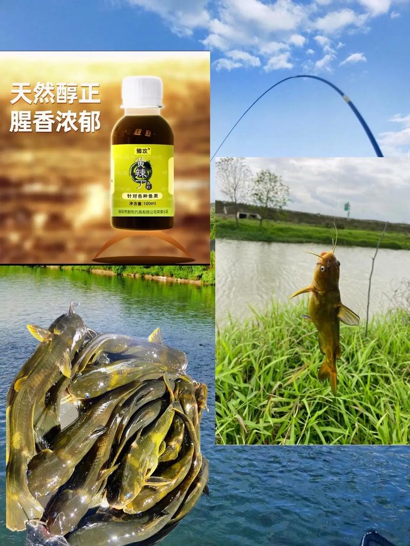 如何用雞肝釣魚_雞肝釣魚技巧_雞肝釣魚