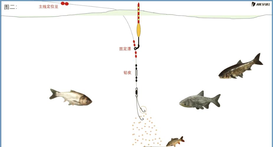 磯釣人必須看的4種磯釣釣法_全游動釣技術_全游動釣法詳解