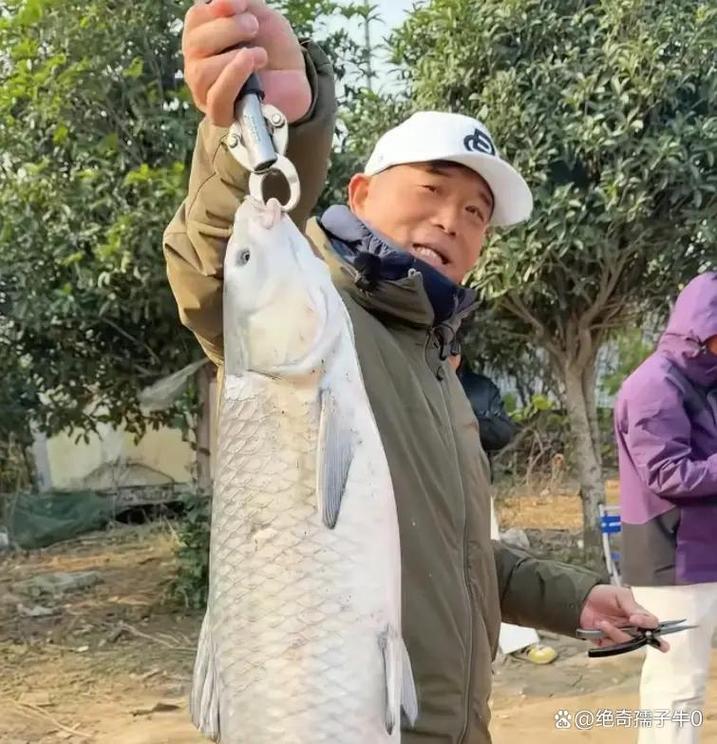 化紹新釣王 vs 鄧剛釣王_化紹新釣魚視頻野釣實戰_兩代釣王技術比較