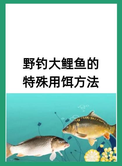 野釣鯉魚技巧_鯽魚怎么釣上魚快_釣鯉魚餌料選擇