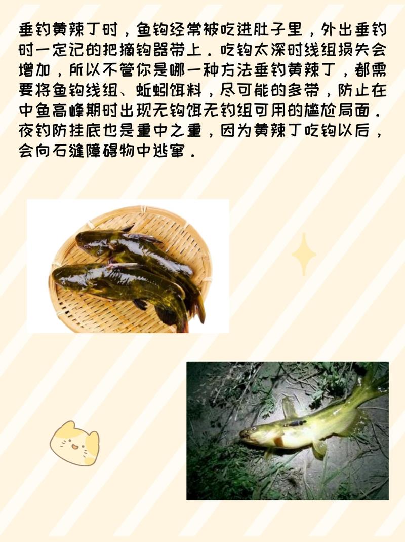 黃辣丁釣法_野釣黃辣丁用什么打窩_黃辣丁夜釣技巧