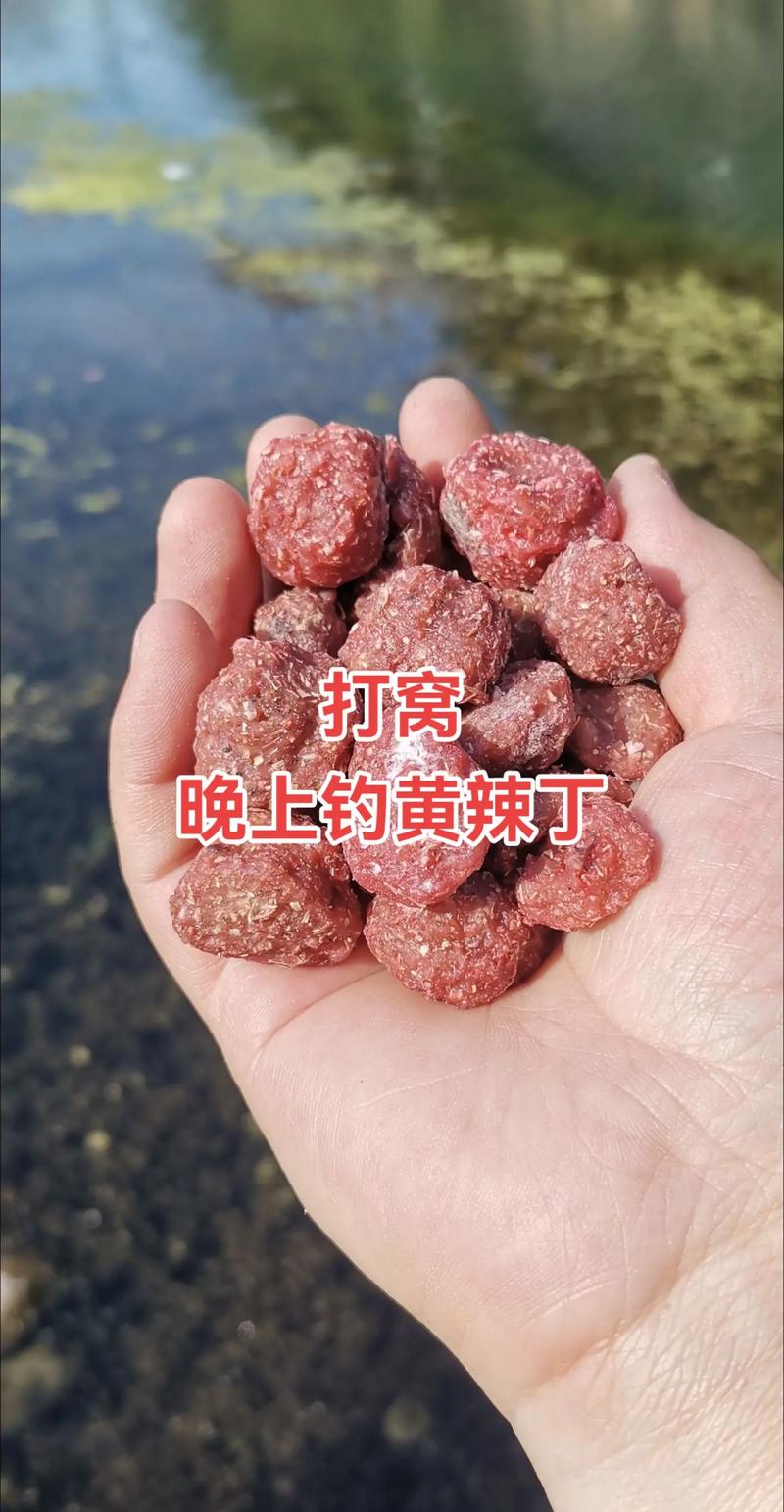 野釣黃辣丁用什么打窩_黃辣丁夜釣技巧_黃辣丁釣法