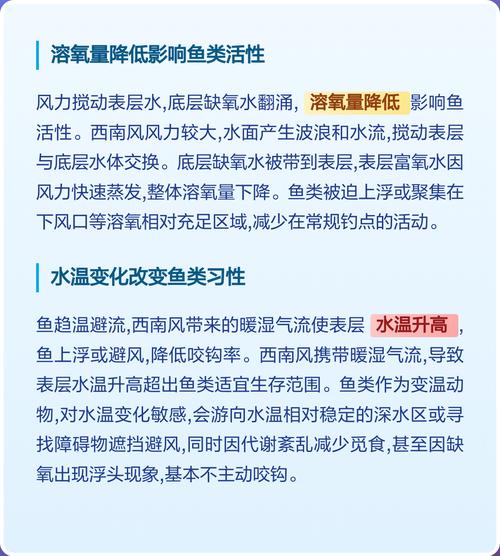 西南風釣魚最佳時間_西南風釣魚技巧_西南風為什么不適合釣魚