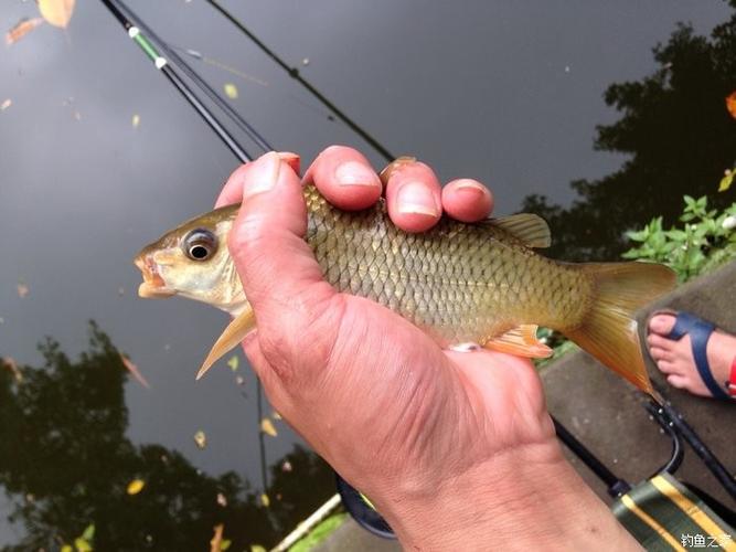 漁我同行全集視頻_漁我同行2017全集視頻_漁我同行全集