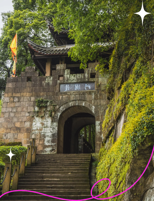 釣魚城古桂樹_巴渝第一桂國保單位_合川釣魚城護國寺古桂樹