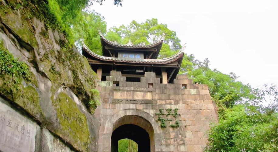 合川釣魚城護國寺古桂樹_釣魚城古桂樹_巴渝第一桂國保單位