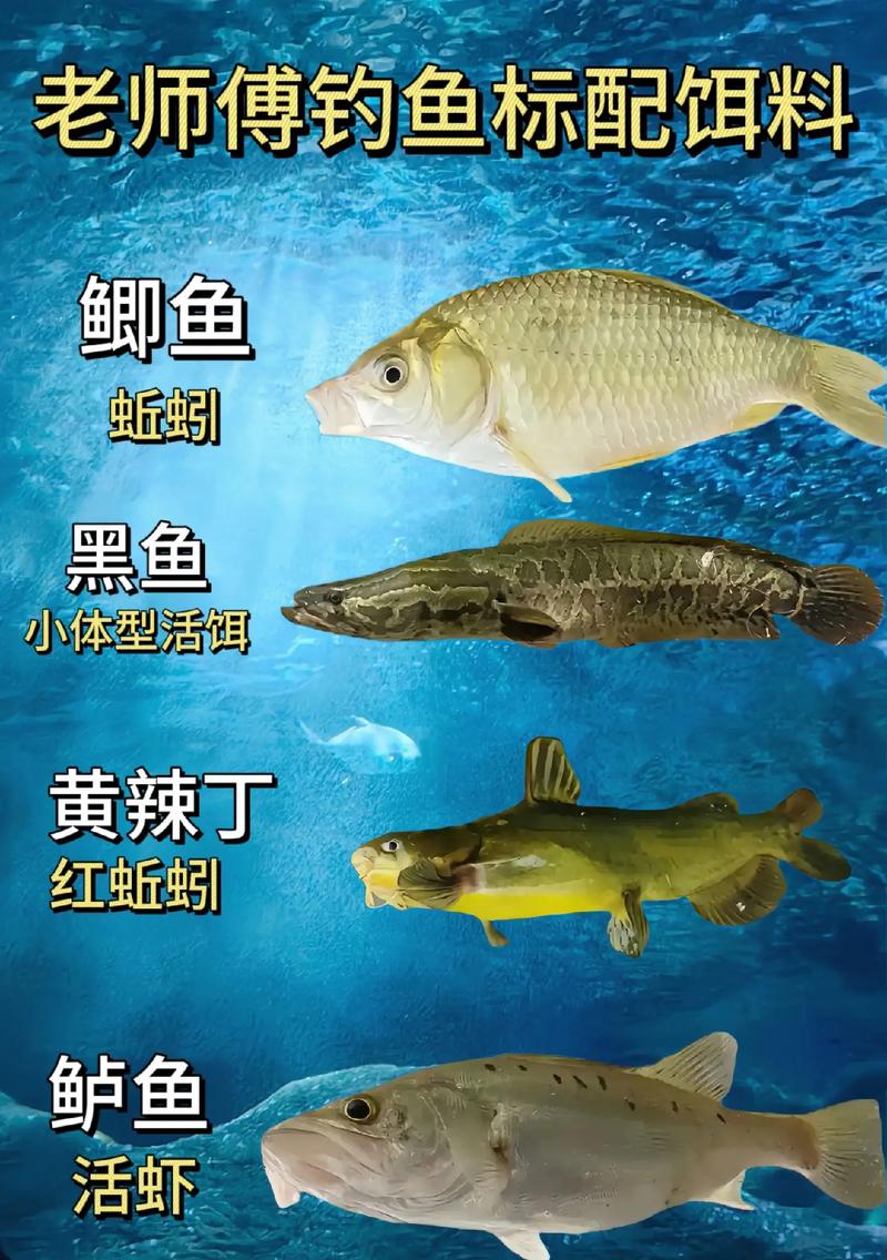 上魚率超高的餌料推薦_釣魚新手入門餌料_魚最愛吃的幾種天然餌料必看