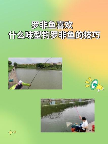 羅非魚夏季喜歡吃冷凍餌原因_夏季釣羅非魚冷凍餌制作方法_夏季釣羅非魚技巧分析必看