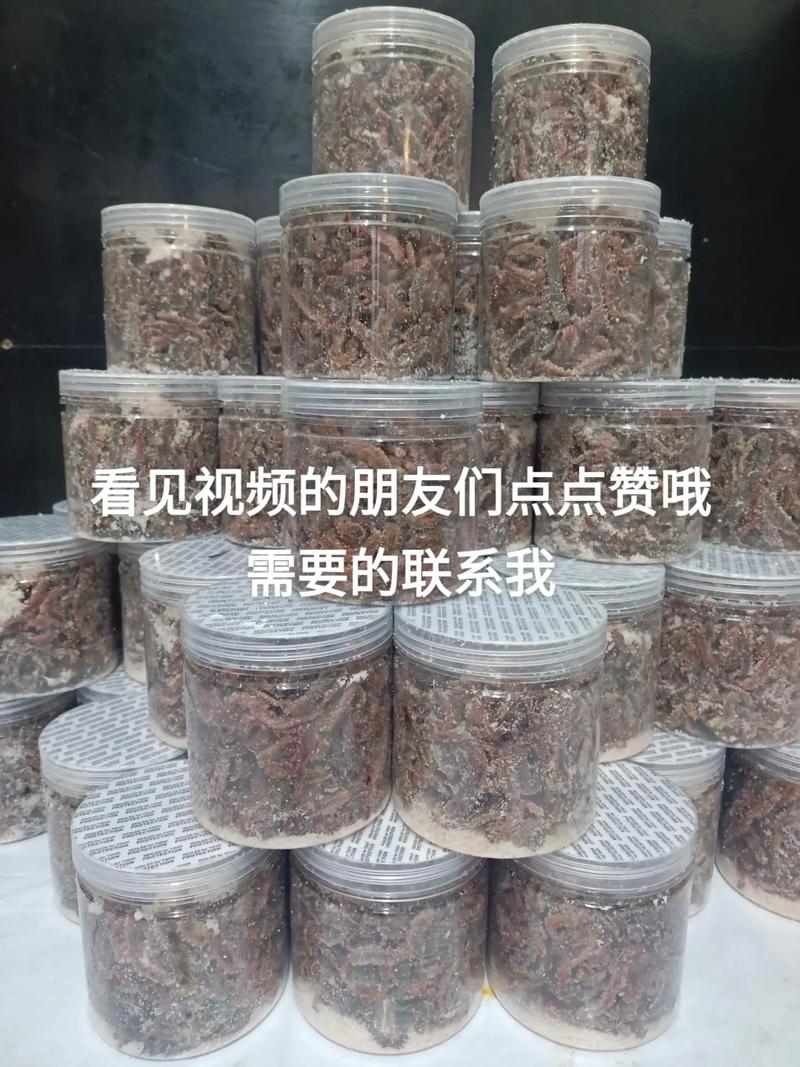 分享超簡便沙蠶腌制法，朋友們快來看看必看