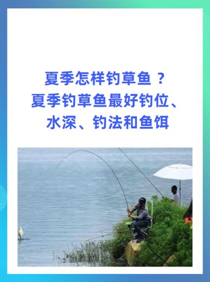 草魚窩料制作方法_夏季釣草魚技巧_夏季魚塘釣草魚技巧必看