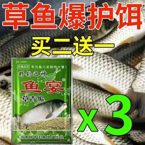 嫩玉米釣草魚配方_夏季釣草魚餌料配方_夏天釣草魚用什么餌