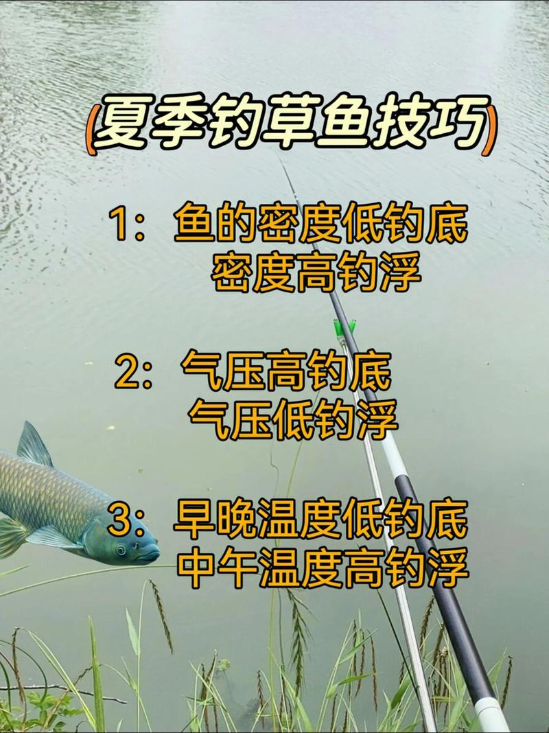 肥水中釣草魚餌料_夏天在野外釣草魚餌料_夏天釣魚野釣草魚要用什么料好釣?