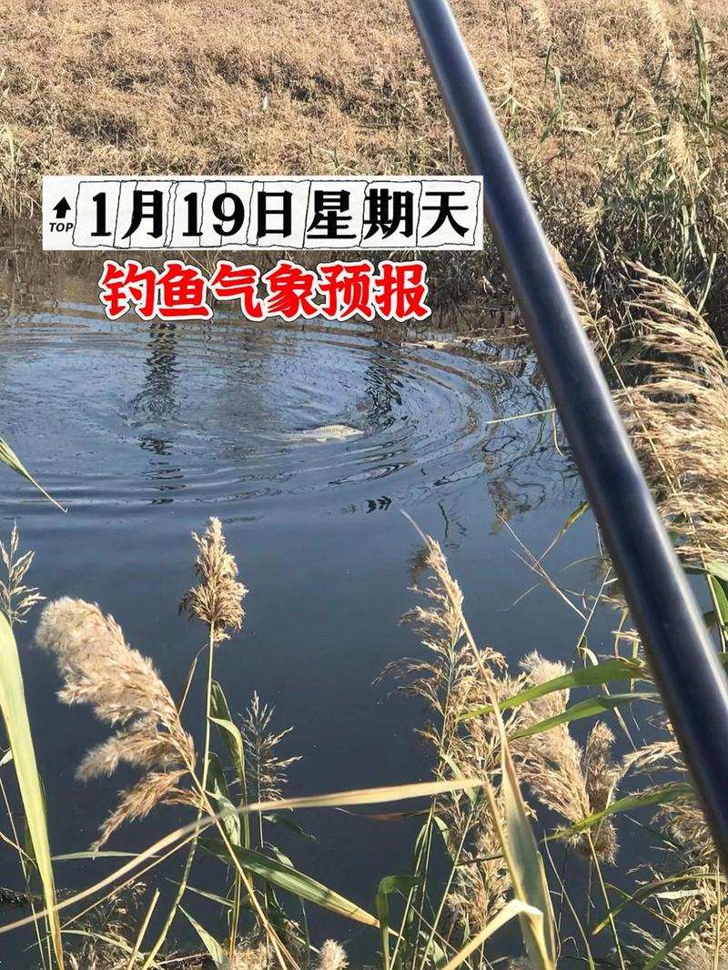 現在釣魚天氣預報可靠不可靠?_適合釣魚的天氣_釣魚天氣選擇