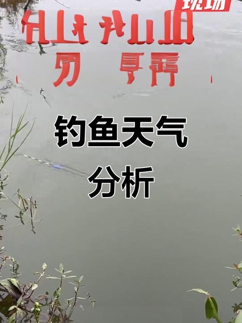 現在釣魚天氣預報可靠不可靠?_天氣對釣魚的影響_晝夜溫差對釣魚的影響