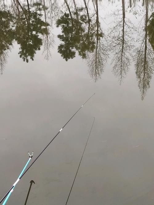 香魚垂釣方法_香魚生活習性_香魚_香魚的垂釣方法_釣魚百科