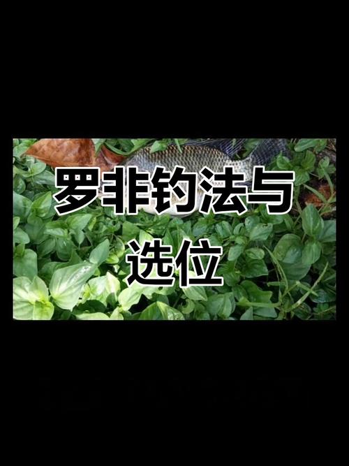 詳談釣羅非魚必備的四個技巧必看_休閑釣羅非魚釣組配置_釣羅非魚手竿技巧