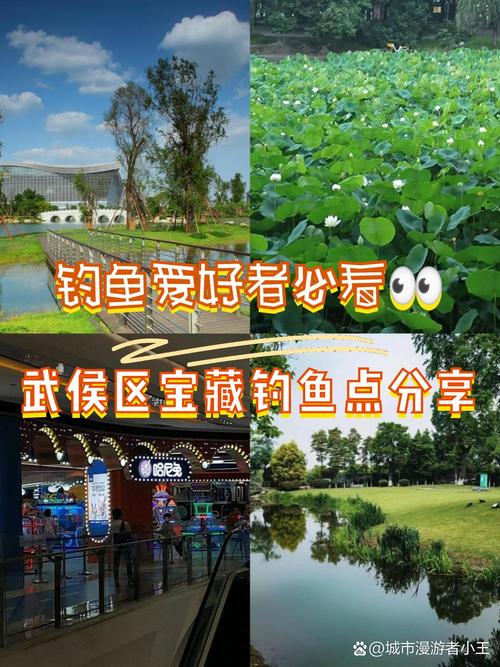 武漢釣魚好去處_武漢釣魚_金銀湖釣魚地點