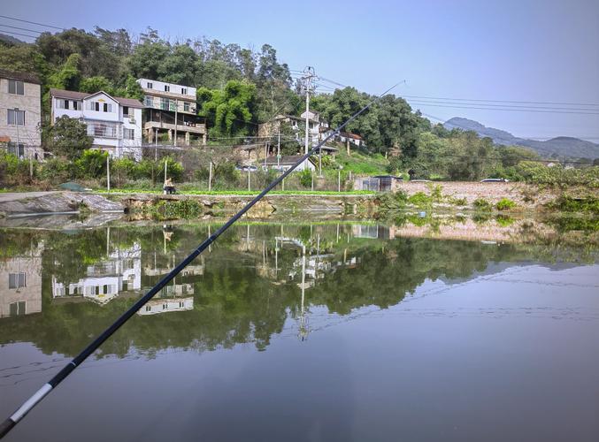 重慶釣魚攻略_重慶釣魚網_重慶釣魚地點推薦