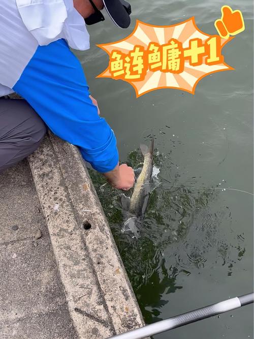 快樂垂釣涉釣英雄傳王者之戰第三期_快樂垂釣王者之戰2026_快樂垂釣頻道涉釣英雄傳年度特別節目