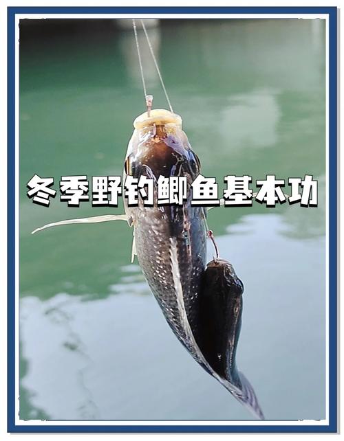 冬季垂釣技巧_冬釣陽背風深水_冬釣魚技巧