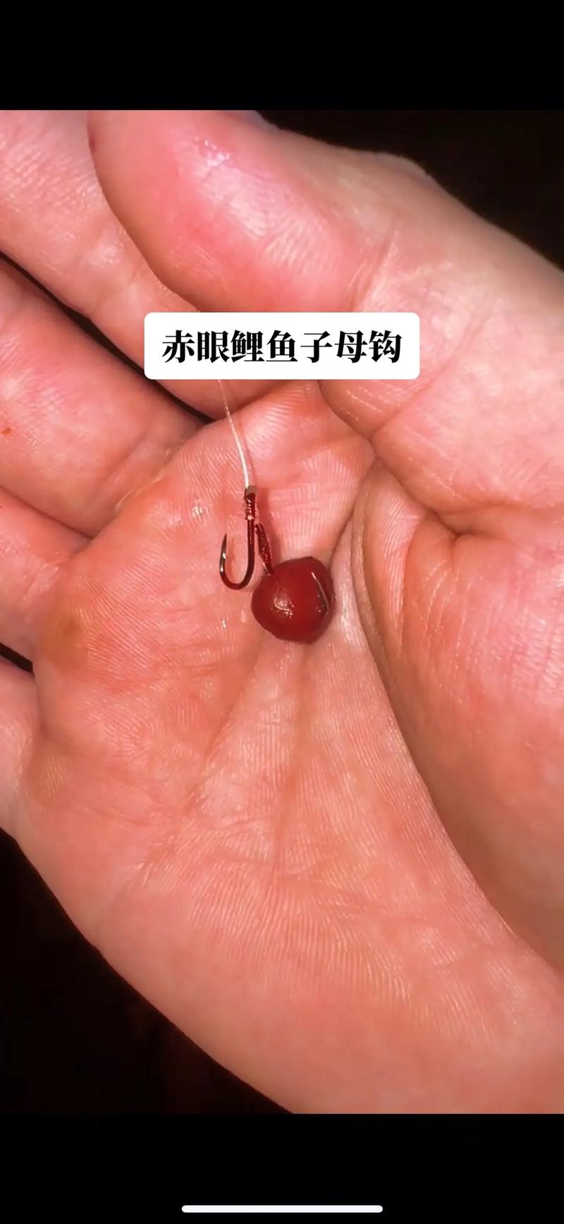 子母鉤這樣綁，巨物想跑都難！鉤距別超1公分