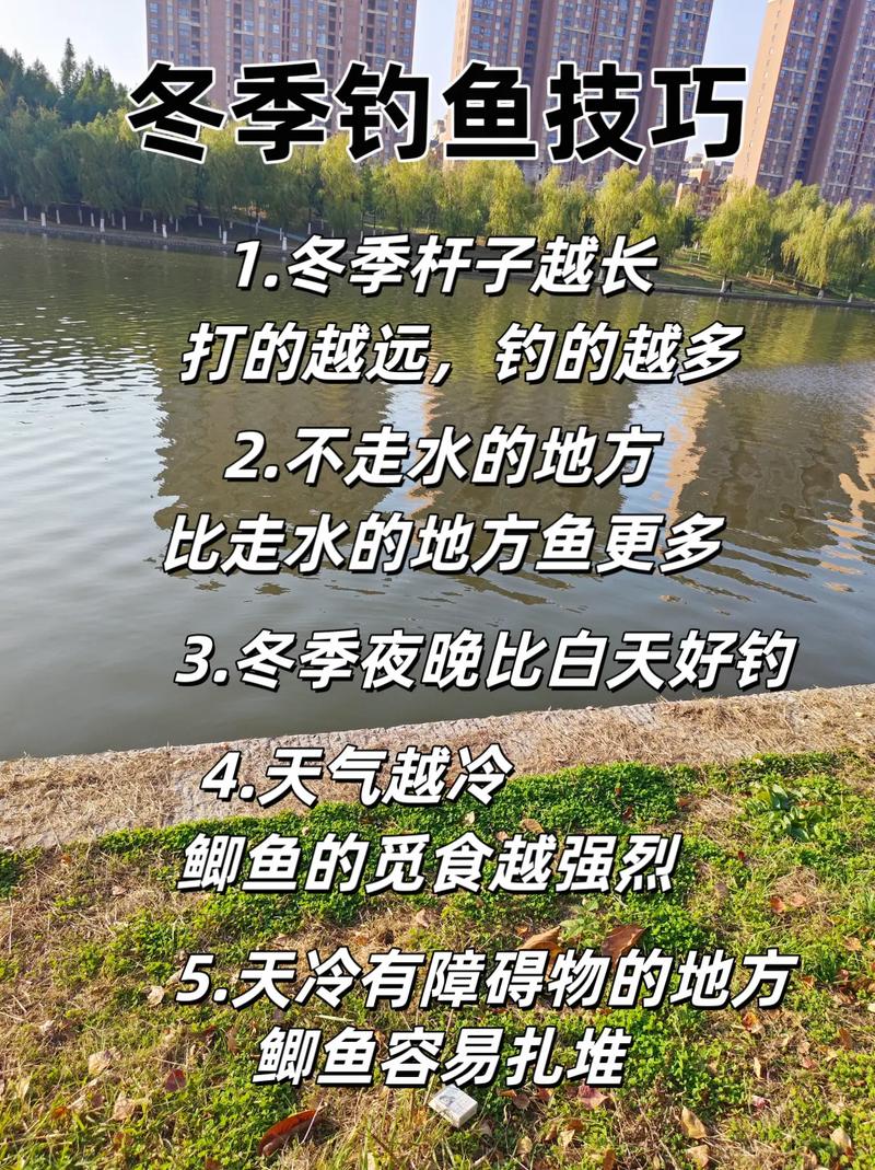 怎樣在初冬釣鯽魚_初冬野釣鯽魚攻略_初冬野釣鯽魚技巧