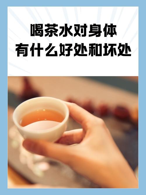 釣魚時喝什么飲料最好_夏季釣魚視頻_夏季釣魚帶什么飲料好
