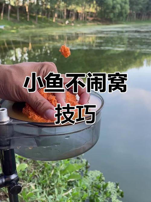 野外垂釣小雜魚鬧窩怎么辦_野外垂釣應對小雜魚鬧窩技巧_野釣鯽魚鬧小雜魚怎么辦