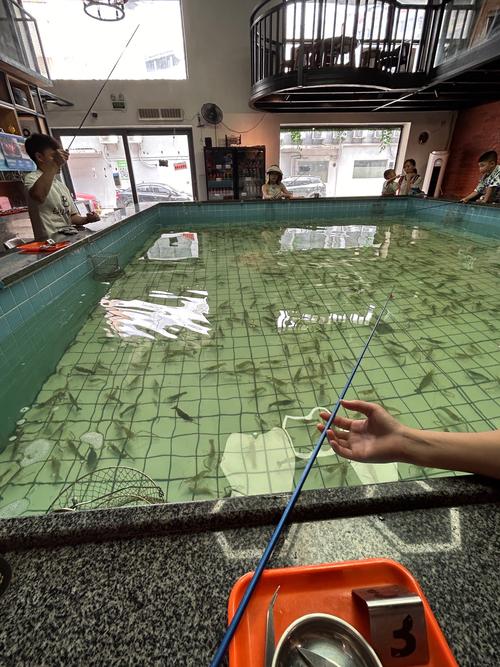 釣蝦技巧_最佳釣蝦時間_新手釣魚之蝦池釣光魚